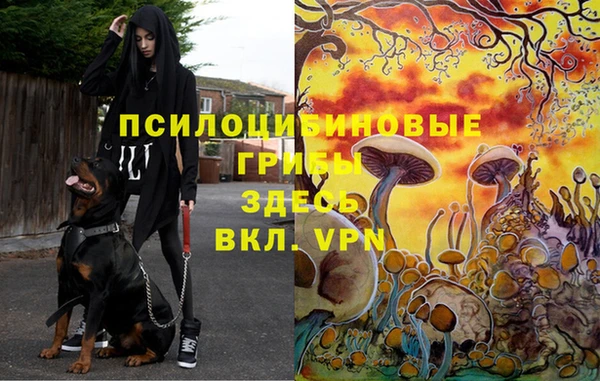 кокаин колумбия Вязьма