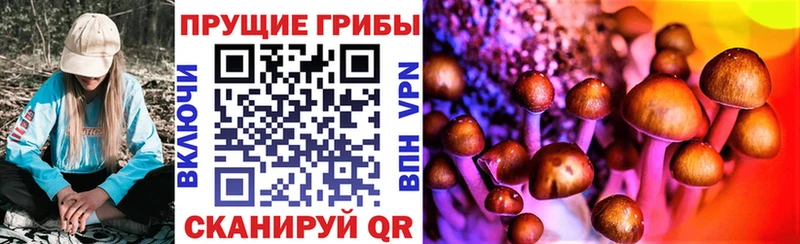 Псилоцибиновые грибы Psilocybine cubensis  Купить закладки  Вельск 