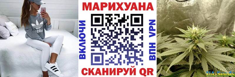 Купить где  Вельск  Канабис гибрид 